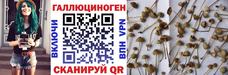 Галлюциногенные грибы MAGIC MUSHROOMS  Мариинск 